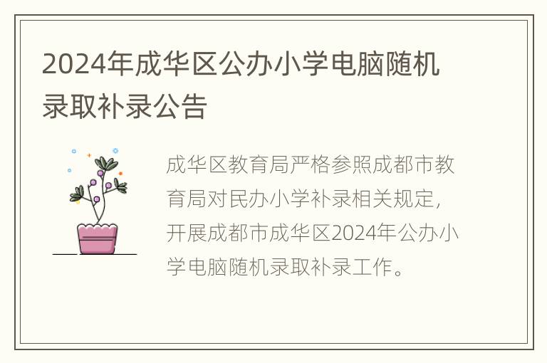 2024年成华区公办小学电脑随机录取补录公告