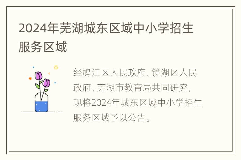 2024年芜湖城东区域中小学招生服务区域