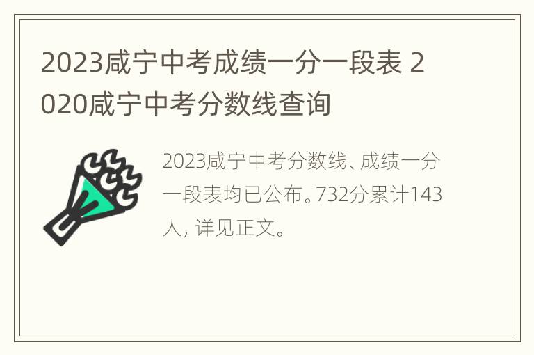 2023咸宁中考成绩一分一段表 2020咸宁中考分数线查询