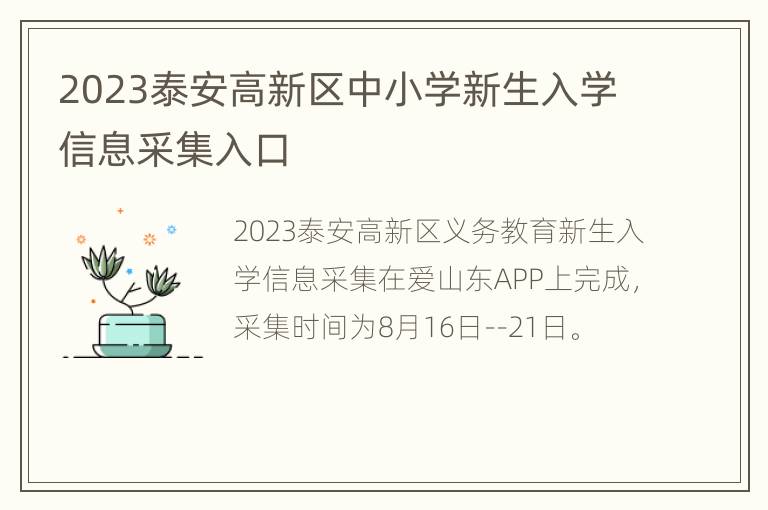 2023泰安高新区中小学新生入学信息采集入口