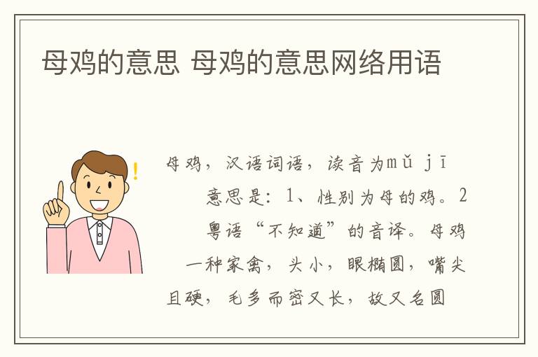 母鸡的意思 母鸡的意思网络用语