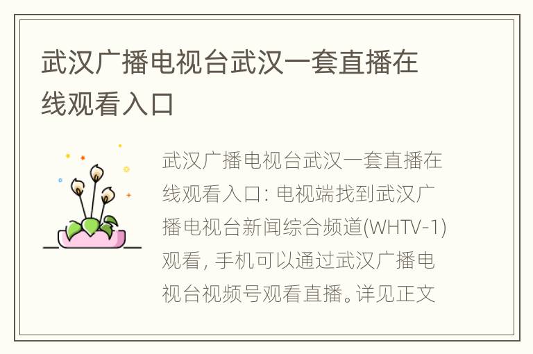 武汉广播电视台武汉一套直播在线观看入口