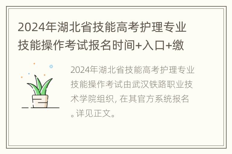 2024年湖北省技能高考护理专业技能操作考试报名时间+入口+缴费方式