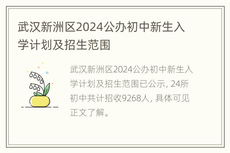 武汉新洲区2024公办初中新生入学计划及招生范围