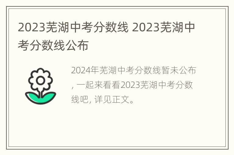 2023芜湖中考分数线 2023芜湖中考分数线公布