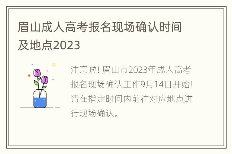 眉山成人高考报名现场确认时间及地点2023