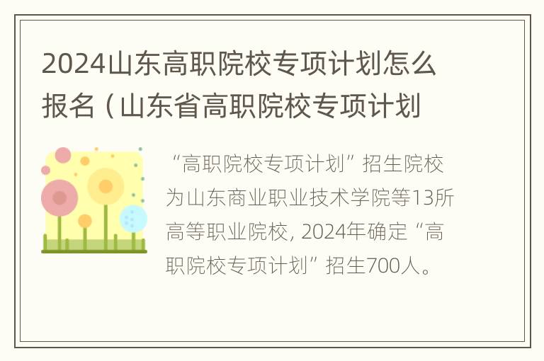 2024山东高职院校专项计划怎么报名（山东省高职院校专项计划）