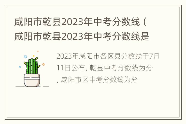 咸阳市乾县2023年中考分数线（咸阳市乾县2023年中考分数线是多少分）