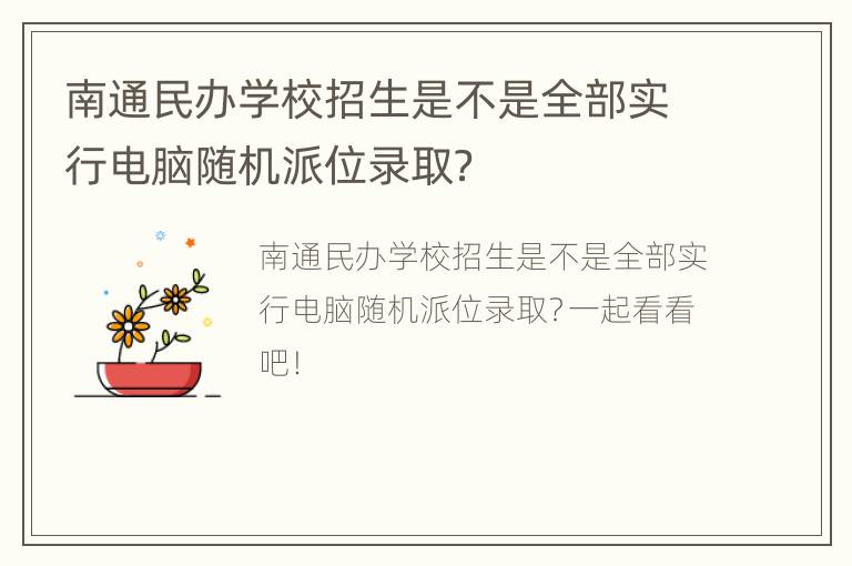 南通民办学校招生是不是全部实行电脑随机派位录取？