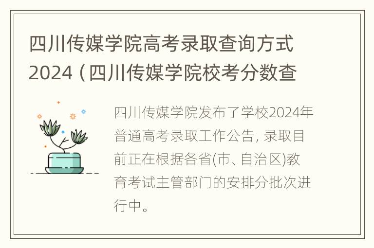 四川传媒学院高考录取查询方式2024（四川传媒学院校考分数查询）