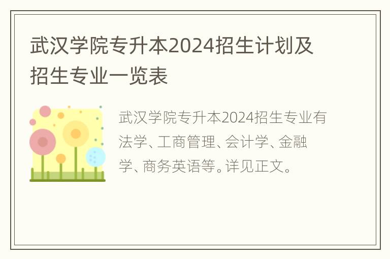 武汉学院专升本2024招生计划及招生专业一览表