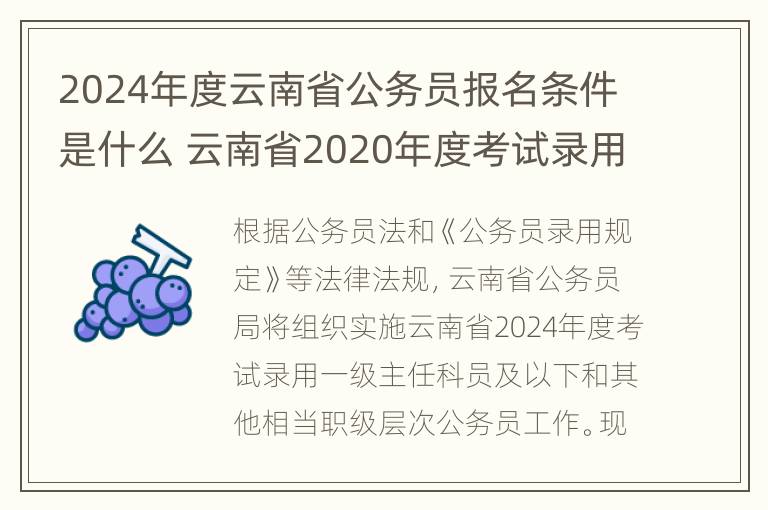 2024年度云南省公务员报名条件是什么 云南省2020年度考试录用公务员报考指南