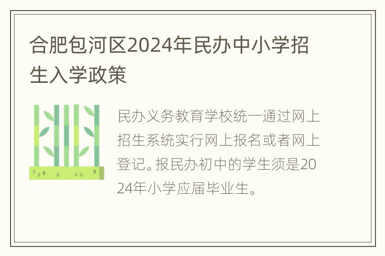 合肥包河区2024年民办中小学招生入学政策