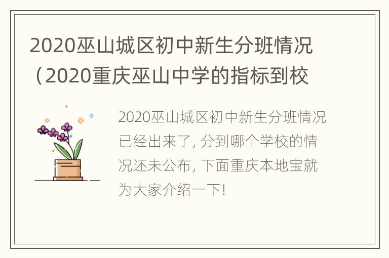 2020巫山城区初中新生分班情况（2020重庆巫山中学的指标到校）