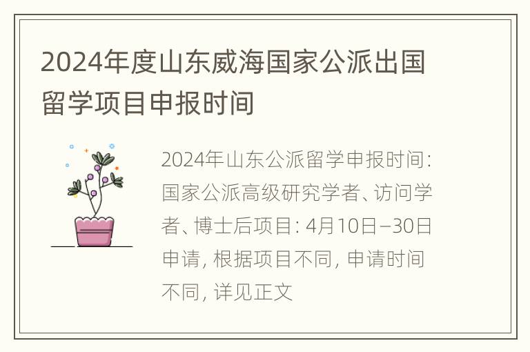 2024年度山东威海国家公派出国留学项目申报时间