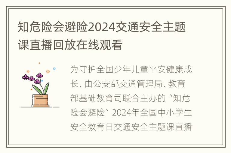 知危险会避险2024交通安全主题课直播回放在线观看