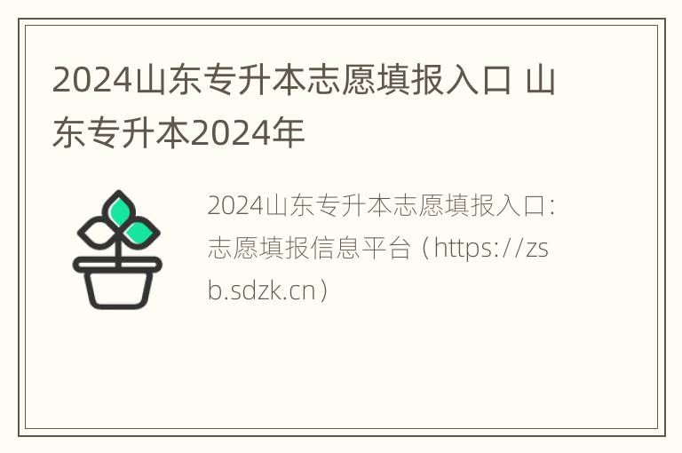 2024山东专升本志愿填报入口 山东专升本2024年