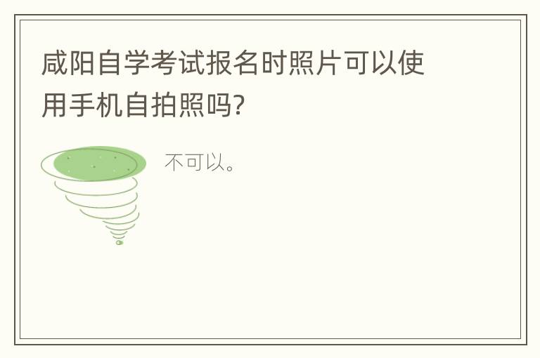 咸阳自学考试报名时照片可以使用手机自拍照吗？