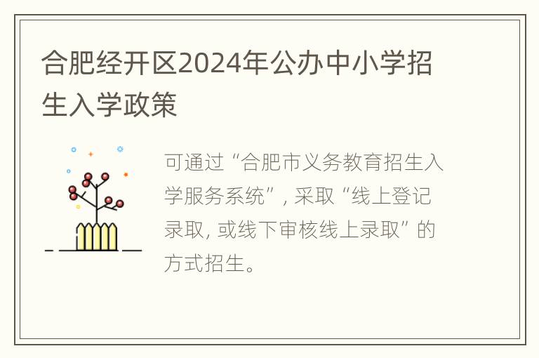 合肥经开区2024年公办中小学招生入学政策