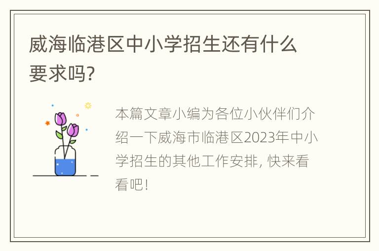 威海临港区中小学招生还有什么要求吗？