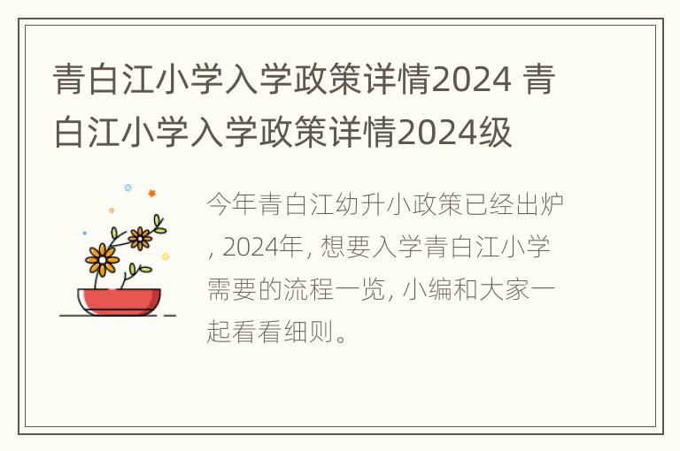 青白江小学入学政策详情2024 青白江小学入学政策详情2024级