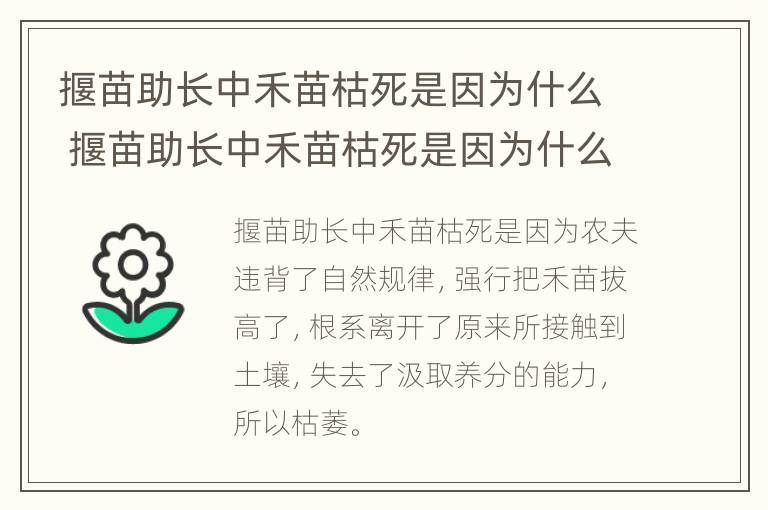 揠苗助长中禾苗枯死是因为什么 揠苗助长中禾苗枯死是因为什么这则故事告诉我们什么