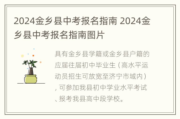 2024金乡县中考报名指南 2024金乡县中考报名指南图片