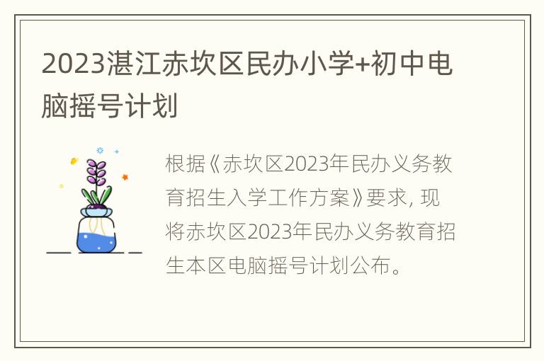 2023湛江赤坎区民办小学+初中电脑摇号计划