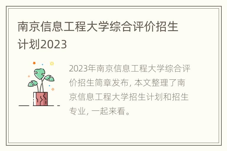 南京信息工程大学综合评价招生计划2023