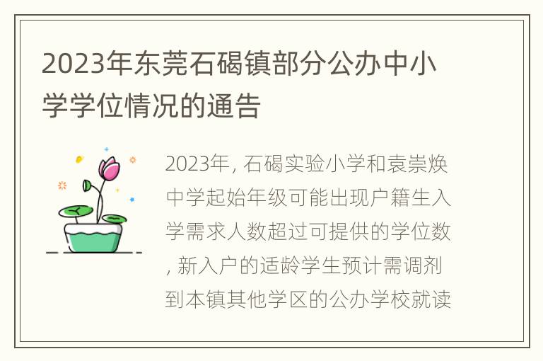 2023年东莞石碣镇部分公办中小学学位情况的通告