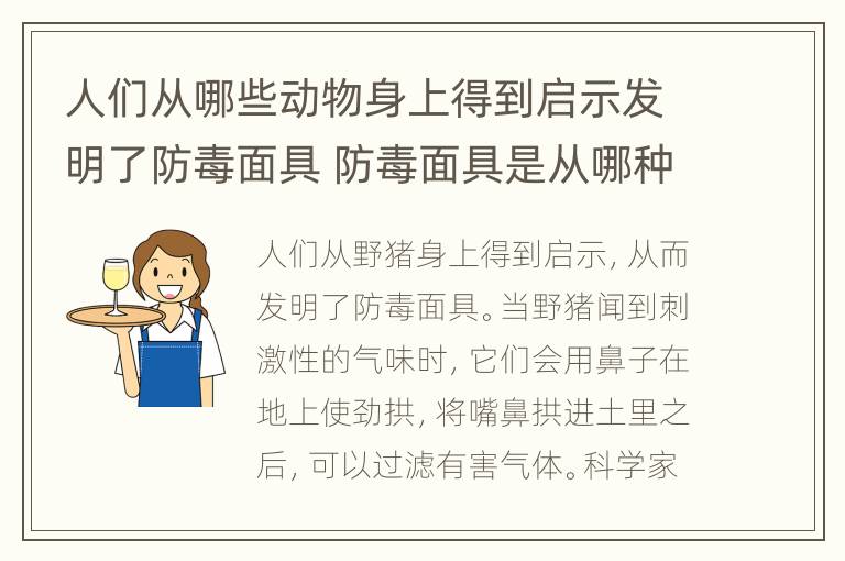 人们从哪些动物身上得到启示发明了防毒面具 防毒面具是从哪种动物得到启示