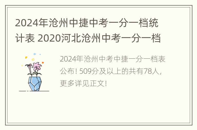 2024年沧州中捷中考一分一档统计表 2020河北沧州中考一分一档表