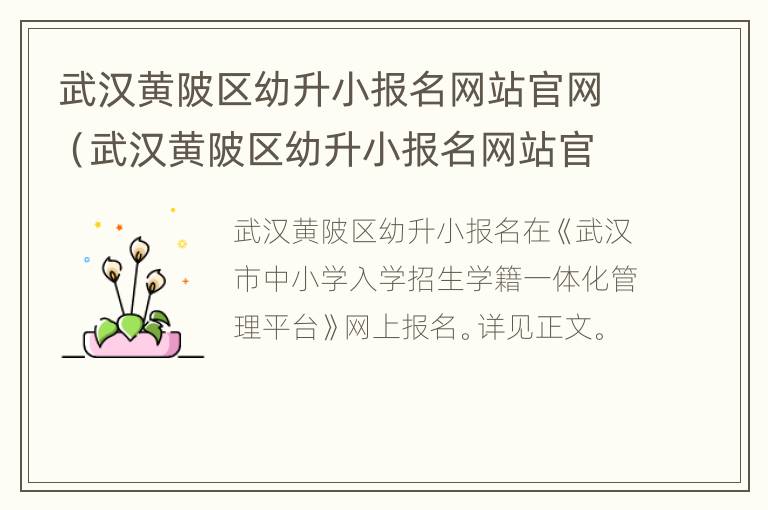 武汉黄陂区幼升小报名网站官网（武汉黄陂区幼升小报名网站官网入口）