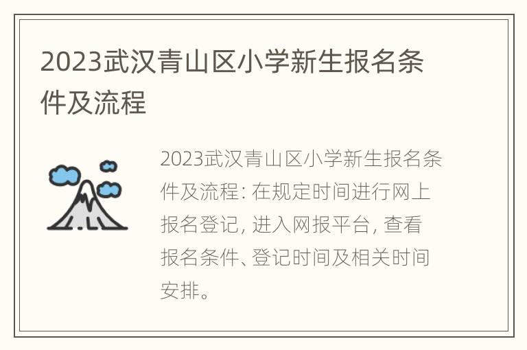 2023武汉青山区小学新生报名条件及流程