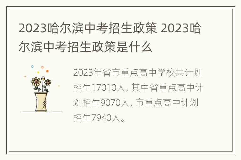 2023哈尔滨中考招生政策 2023哈尔滨中考招生政策是什么