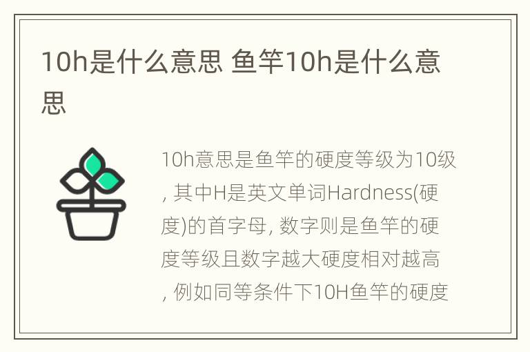 10h是什么意思 鱼竿10h是什么意思