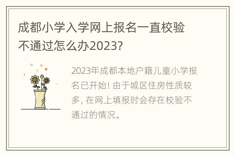 成都小学入学网上报名一直校验不通过怎么办2023？