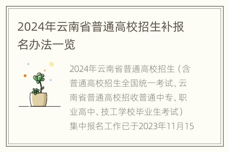 2024年云南省普通高校招生补报名办法一览