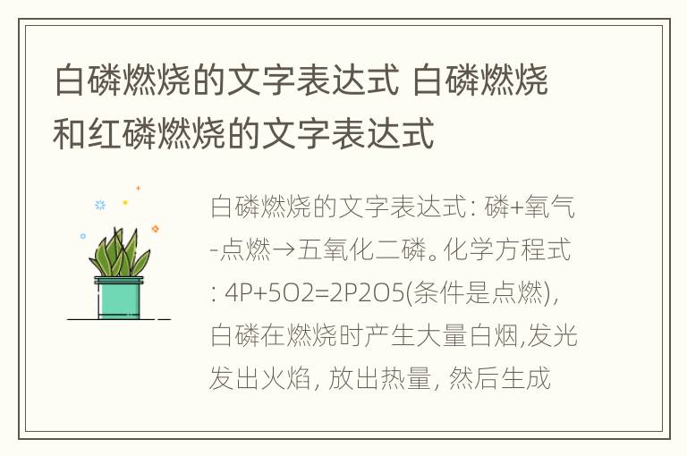 白磷燃烧的文字表达式 白磷燃烧和红磷燃烧的文字表达式