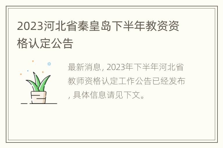 2023河北省秦皇岛下半年教资资格认定公告