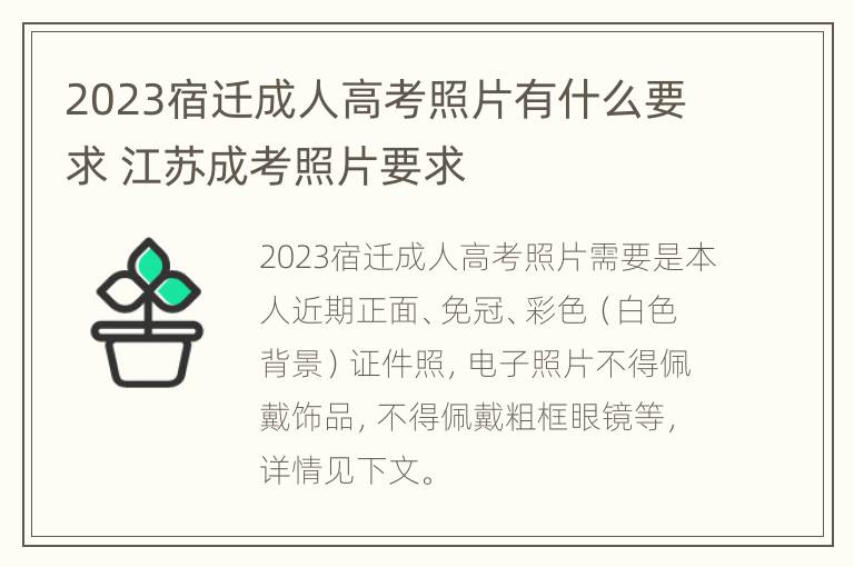 2023宿迁成人高考照片有什么要求 江苏成考照片要求