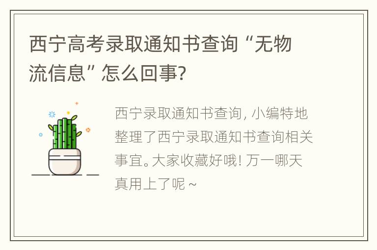 西宁高考录取通知书查询“无物流信息”怎么回事？