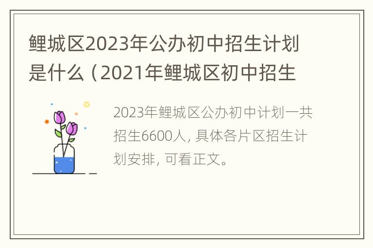 鲤城区2023年公办初中招生计划是什么（2021年鲤城区初中招生）