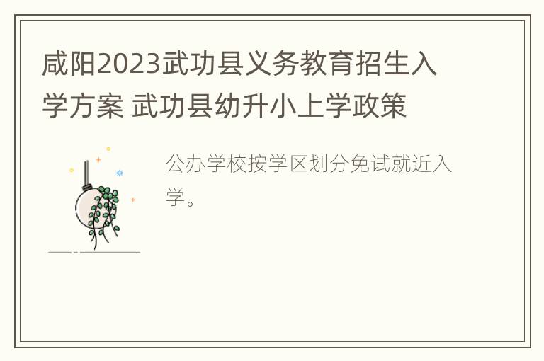 咸阳2023武功县义务教育招生入学方案 武功县幼升小上学政策