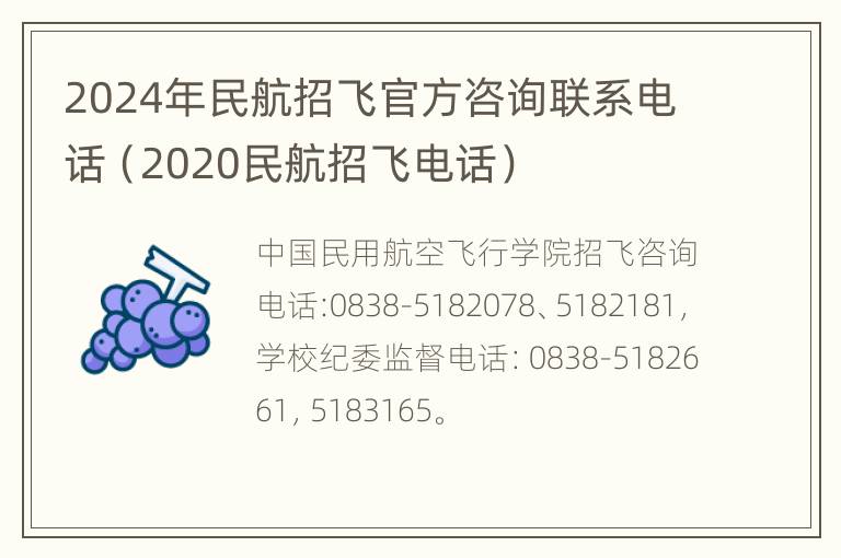 2024年民航招飞官方咨询联系电话（2020民航招飞电话）