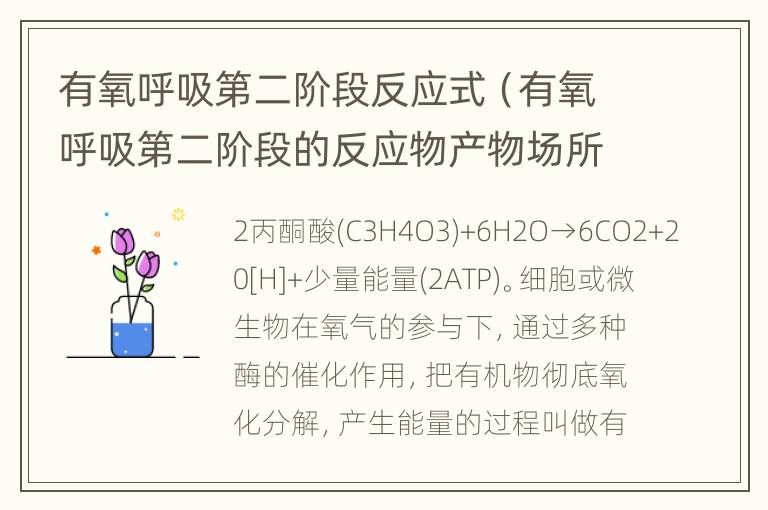 有氧呼吸第二阶段反应式（有氧呼吸第二阶段的反应物产物场所）