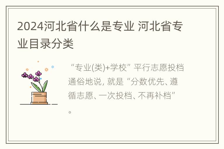 2024河北省什么是专业 河北省专业目录分类