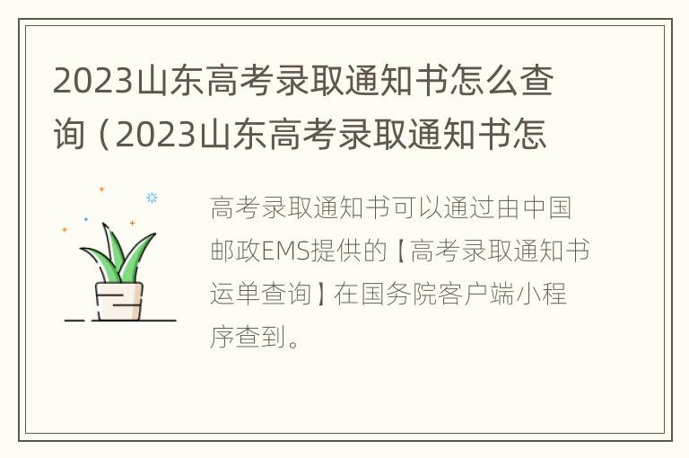 2023山东高考录取通知书怎么查询（2023山东高考录取通知书怎么查询不到）