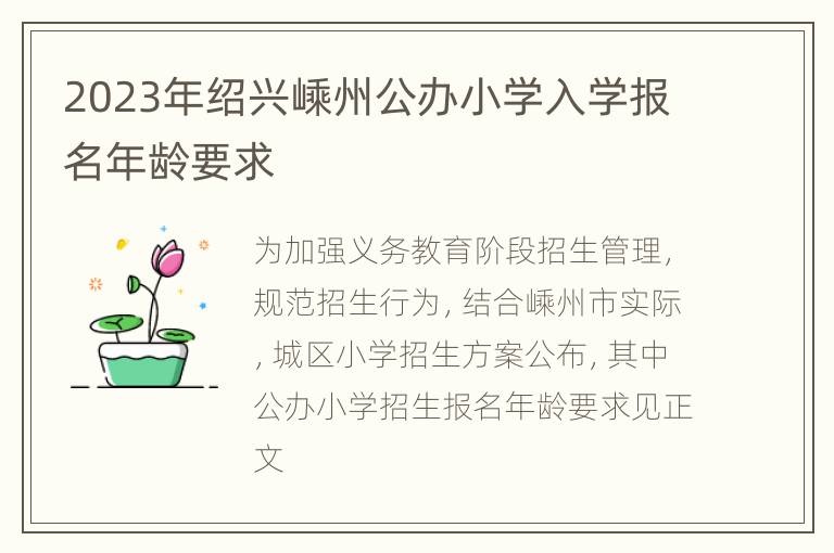 2023年绍兴嵊州公办小学入学报名年龄要求