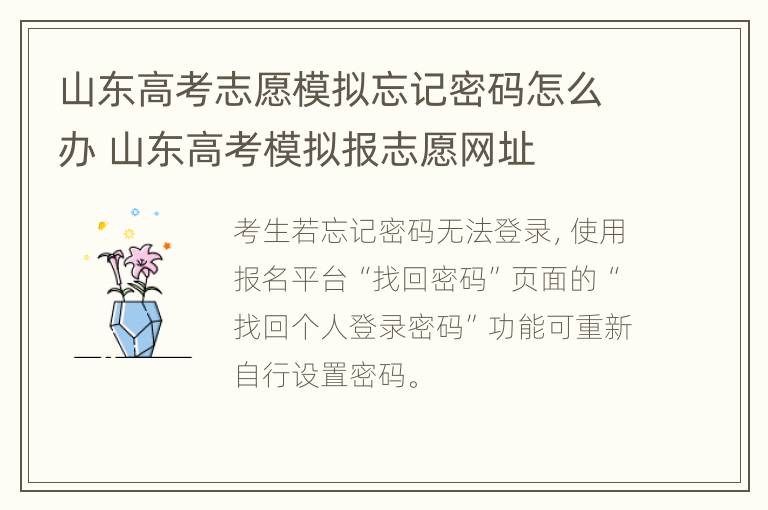 山东高考志愿模拟忘记密码怎么办 山东高考模拟报志愿网址